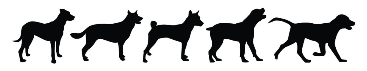Vector silhouette of a dog on a white background.