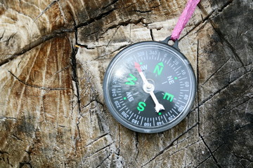 Fototapeta na wymiar Old compass on tree in forest
