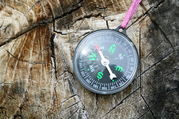 Old compass on tree in forest