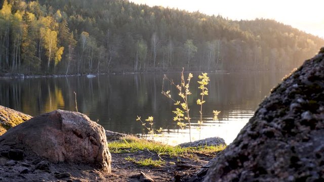 Morning in spring on Scandinavian lake