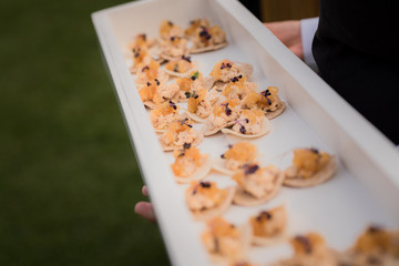 Asian style Canapes