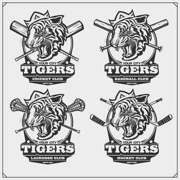 Lacrosse, baseball, cricket and hockey logos and labels. Sport club emblems with tiger. Print design for t-shirt.