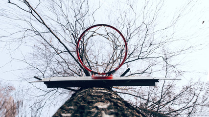 Basketball ring on a tree, red color with a net. View from the bottom. Background.