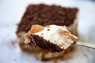 Traditional italian dessert tiramisu cake