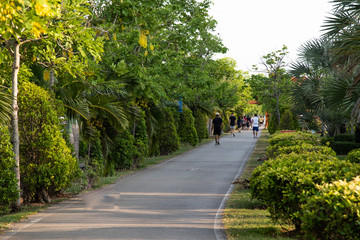 Fototapeta na wymiar Palm trees on green park.