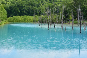 青い池