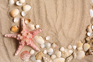 Fototapeta na wymiar Beautiful seashells on sand with space for product or promotional text.