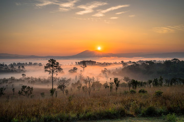 Beautiful mountain views and fog during the morning sun at Thung Salaeng Luang viewpoint, Phitsanulok, Thailand.