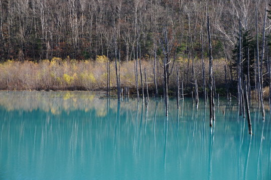 2 928 最適な Macの壁紙 画像 ストック写真 ベクター Adobe Stock