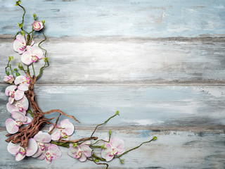 Orchid flowers on wood background with wood branch, place for text