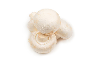 Champignon mushroom isolated on white background.