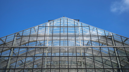 The glass roof of the organic vegetable greenhouse.