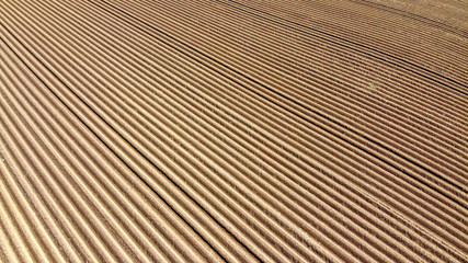 Fototapeta premium Ein Acker aus der Luft gesehen, Schweiz April 2020