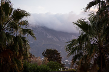 Fototapeta na wymiar dark storm clouds view beetween palm trees and mauntains in Cyprus