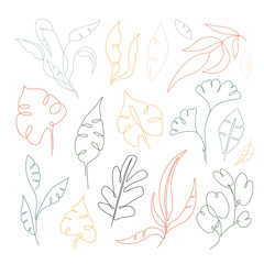 Fototapeta na wymiar Set of different outline leaves. Hand drawn vector illustration