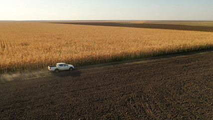 Aerial drone photo showing severe drought conditions affecting the corn crop fields. Farmer in a...