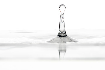 splash from a drop of water on a white background close-up