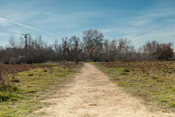 camino