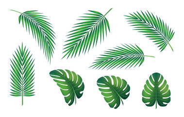 Summer background, leaves of tropical trees. Vector icon set, collection of design elements.