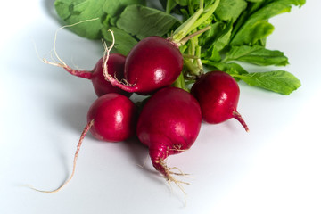 group of radishes on white background (Raphanus sativus)