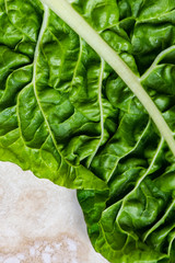 Closeup of organic spinach leaf