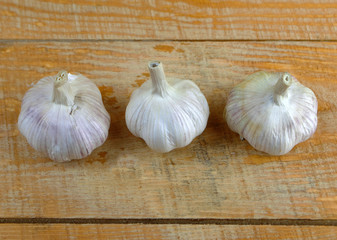 
fresh and tasty garlic lies on a yellow wooden background