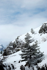 Nature mountain landscape covered with winter snow where you can ski and mountaineer on winter holidays.