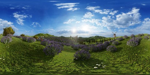 Lavender fields landscape 3d rendering - 343531855