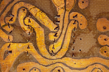 Fototapete bei efototapeten.de bestellen   