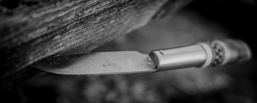 Close-up Of Knife Stuck In Wood