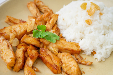 Fried meat chicken with black pepper and Garlic sauce oserved with Thai jasmine rice on the plate. isolated on white background.In Thai it call 