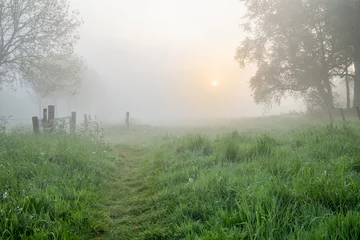 Fototapeten Een mistige ochtend in de vlaamse velden langs de Leie in Lauwe. © krist
