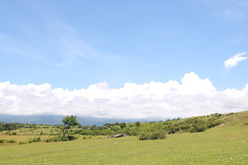 landscape with blue sky