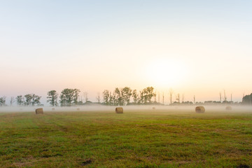 Bales in a summer meadow. Thick fog surrounds them