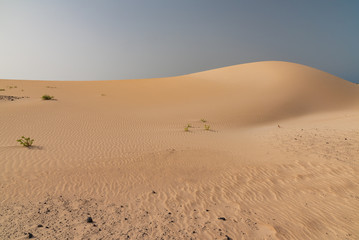 sand dunes in the sahara desert