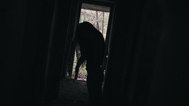 Silhouette of a dancing girl. A zombie girl passes by