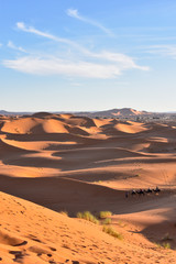 Fototapeta na wymiar Colourful Saharan Desert Dunes in Merzouga, Morocco