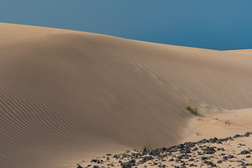 sand dunes in the sahara desert