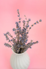 lavender flowers in white vase on pink background.