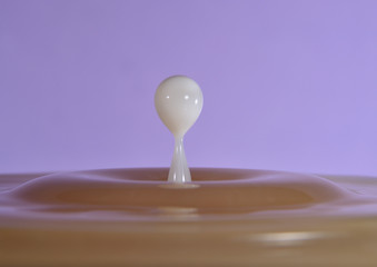 gotas de leche sobre el palto