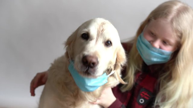 funny video - quarantined due to an epidemic of coronavirus. portrait of a masked dog and girl on a gray background.