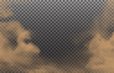 Desert cloud or dirt sand smoke isolated on transparent background. Realistic natural dynamic effect with ground particles. Vector illustration.