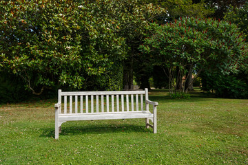 Wooden empty bench standing in the park. Beautiful place for the rest, meditation and retreatment. Chair for relax in beautiful garden