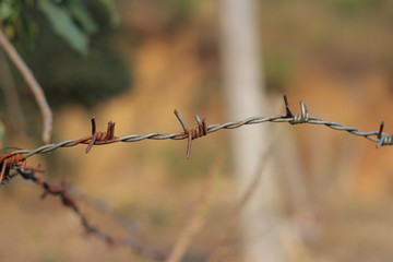 barbed wire on a fence