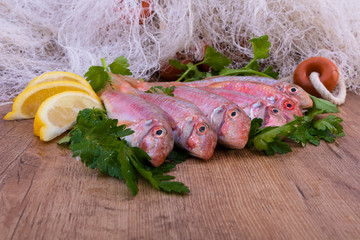 delicious and fresh red mullets with parsley and lemon