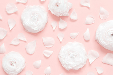 Obraz na płótnie Canvas Cream ranunculus flowers and petals on a light pink background