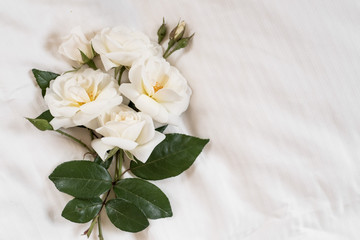 A bouquet of white garden roses in bed with copy space on the right