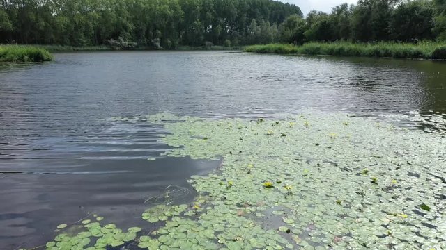 De Viersprong, Pays-Bas