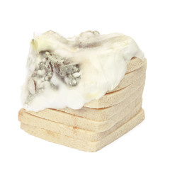 Tranches de pain de mie moisies
