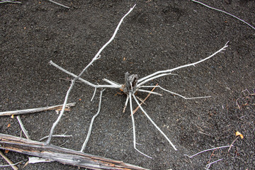 Die Wildnis von Kamtschatka - Sibiren - Russland